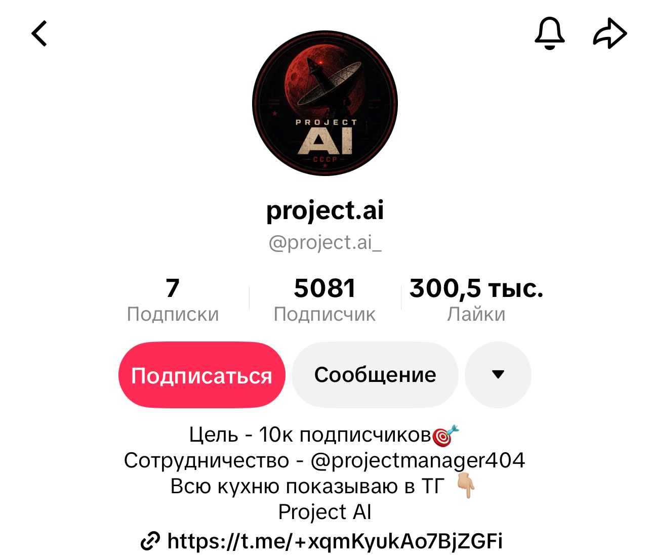@project.ai